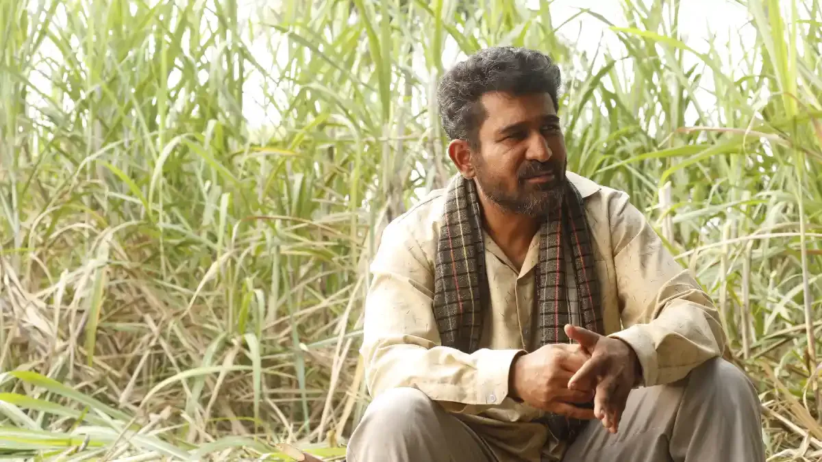 Vijay Antony movie.webp